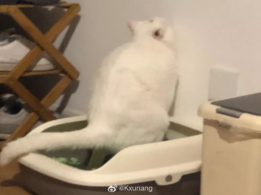 大型偷拍拉屎现场!这是一条有女生的v这是…步骤味道自我安慰图片