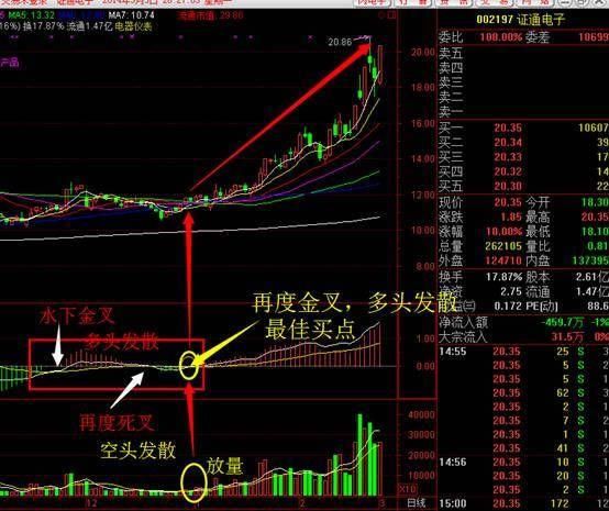 中国股市美梦破灭只留下一地鸡毛，到底是谁在抽散户的血！