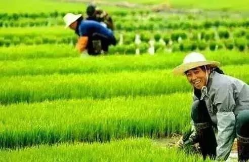 农业部明确了今年在农业经营领域要干的26件事