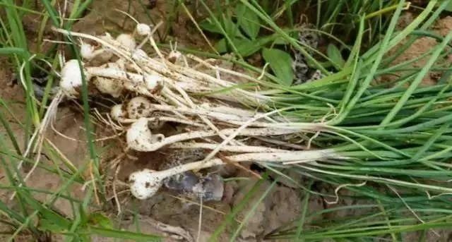 t01943c9a939af303cd.jpg