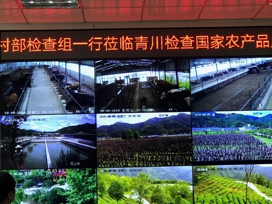 左宗棠灭回后回族人口_左宗棠(3)