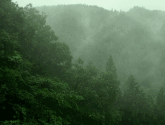 【立夏】风暖昼长，金山岭长城这些你期待的美景正在轮番上映!