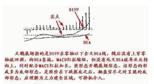 老股民曝光MACD选股技巧,超简单实用,看懂少走十年弯路