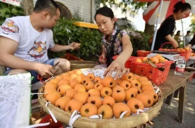 枇杷熟了，南岸广阳回龙邀你摘枇杷啦!