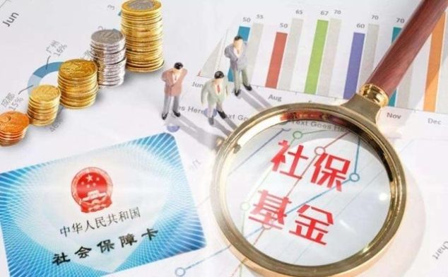 缴纳基数是什么意思