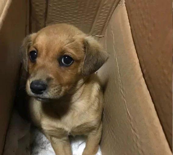 闲鱼卖东西安全吗