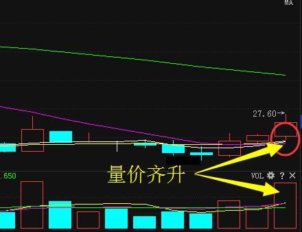 次新股第一龙头49跌至6元，神秘巨资79亿增持，有望赶超药明康德