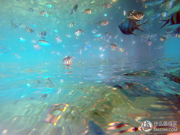 头脑一热，去马来西亚热浪岛了