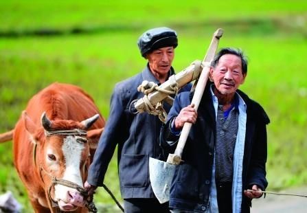 农村老话“一代亲，二代表，三代四代认不到”，知道什么意思吗？