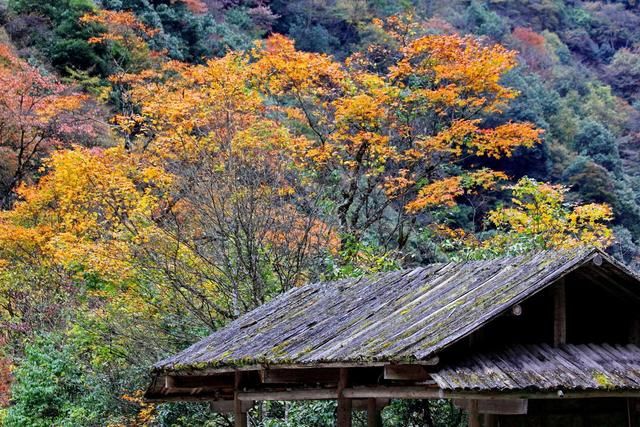 318川藏线风光:川藏线南线沿途景点介绍之雅安!