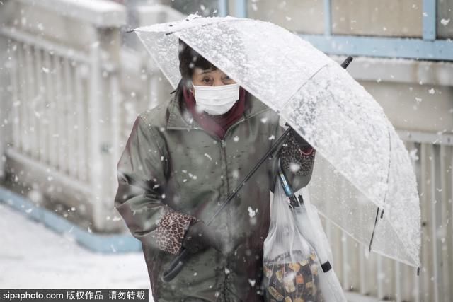 日本东京迎来大雪天气 雪花纷飞寒气逼人