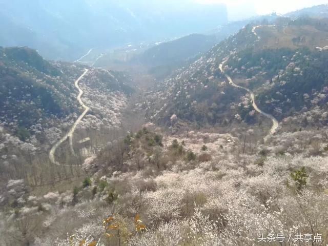 三生三世何处觅？十里桃花南太行！3月踏青太行秋沟赏桃花
