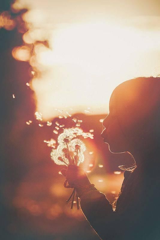 终于顿悟,人生最重要的是什么~