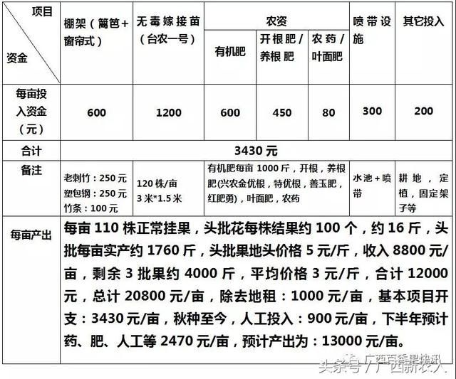 小农户示范案例：百香果秋种，预计产出12000元\/亩，现在怎样了