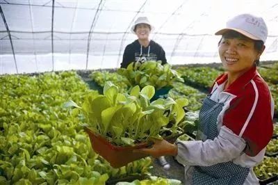 大局已定!天津农村户口注意了!身价即将暴涨!