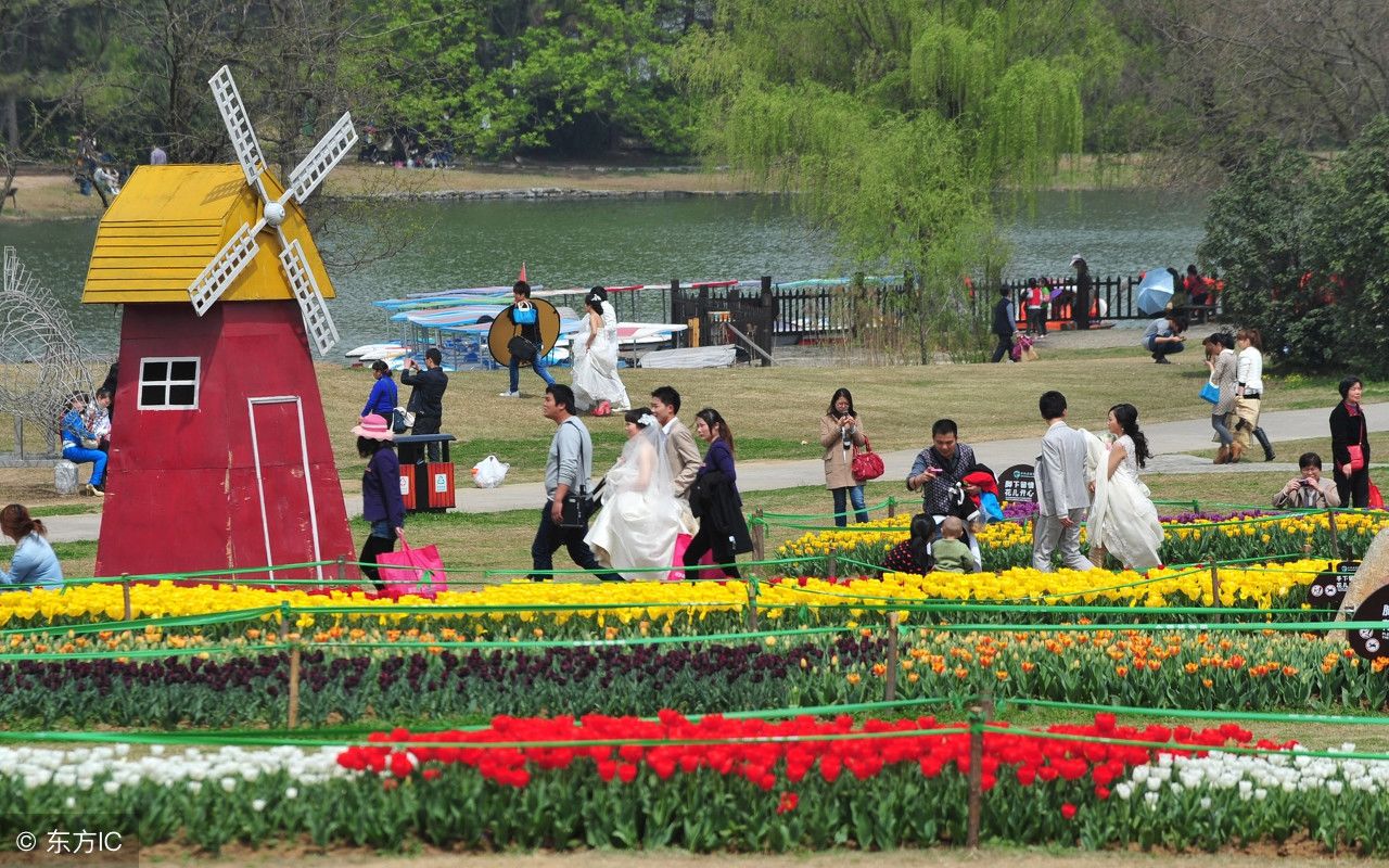 合肥植物园:安徽省旅游局推荐的安徽十处最美的地方之一。