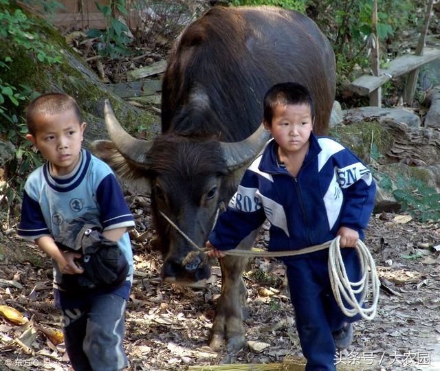 农村家有小孩的，记得趁早办理这3个证件，没有的可能要吃亏