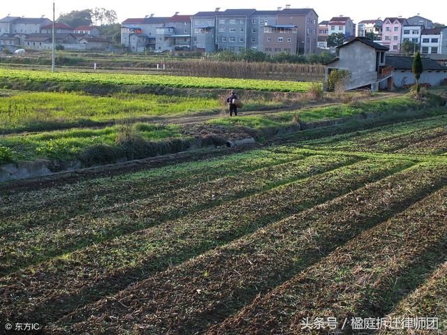 这13点决定农村土地能不能确权，你都了解吗?