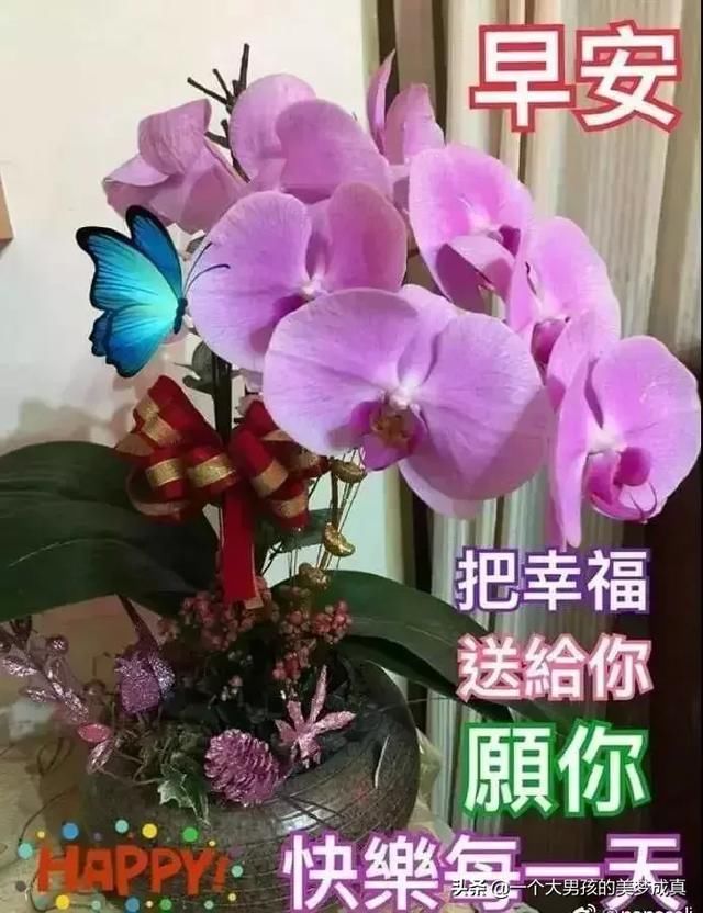 清晨早安v表情表情图片表情特别漂亮早上好问呜啦动态包图片