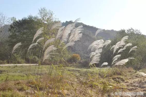 信阳灵山:灵在山水,灵在禅意,灵在自然