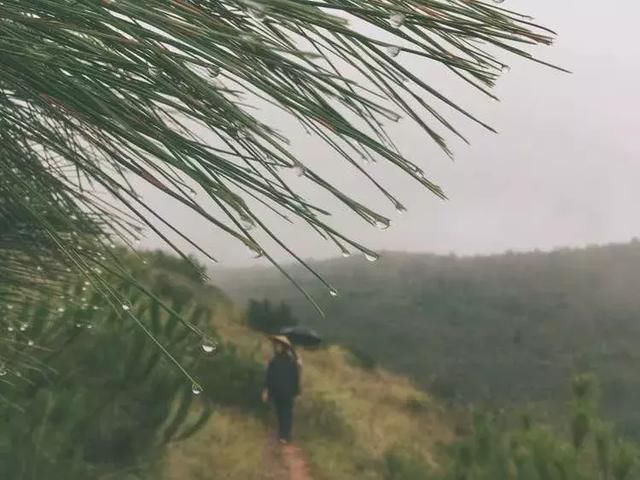 他隐居大理，挖菌子做陶器为生，日记帖断更后，引得几万网友关心