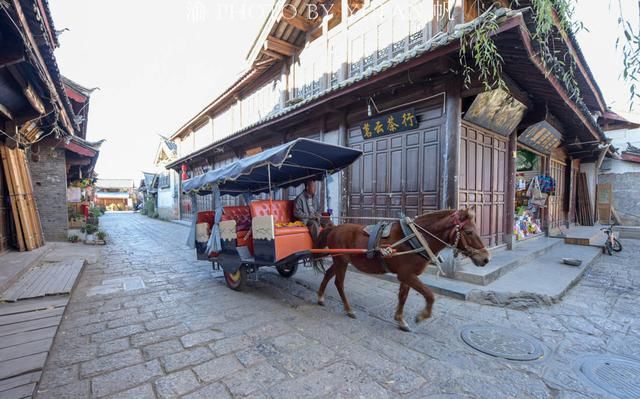 丽江的马为什么没人骑了?50元、40元便可骑着游一圈