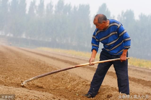 农村老人说：有钱不买河边地，有钱不娶活汉妻，说的是什么意思？