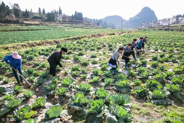 今年农村居住环境发生巨变，分散居住将不复存在，建房将统一规划