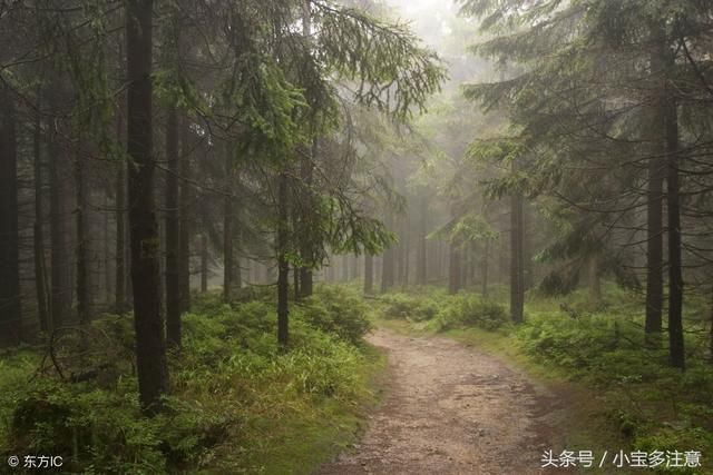 心理测试:你会选择走哪条小路?测出你的最佳配偶何时出现