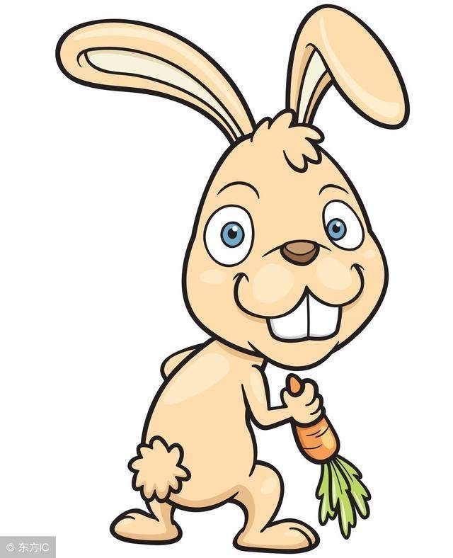 生肖兔你知道吗?这几个地方一定别去能躲则躲