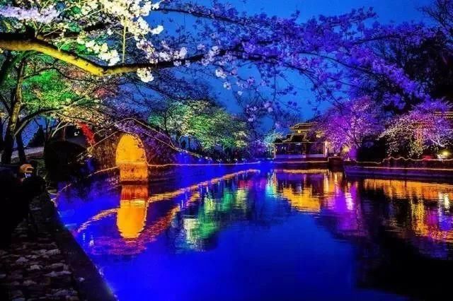 太湖鼋头渚夜赏樱花游园会:一场视觉与听觉的“饕餮盛宴”