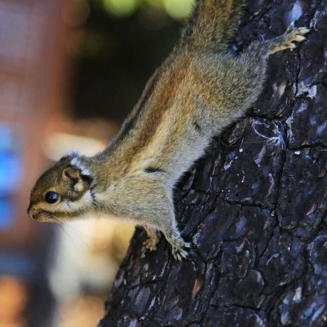中国自然环境最好的省份,童话般的世外桃源,是
