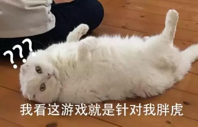 360云吸猫《猫咪后院》的VR版来了