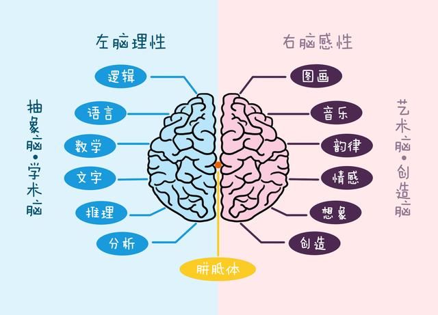 你的孩子可能天赋异禀却没被发掘，看看你家孩子是什么类型人才