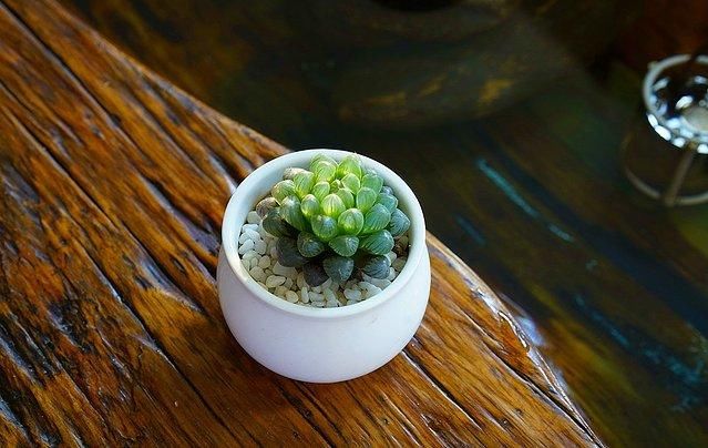 7天6晚，玩转傣历新年泼水盛会