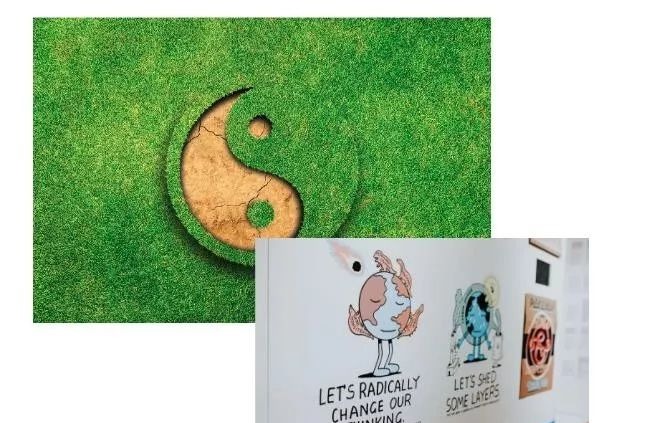 工程管理是做什么的