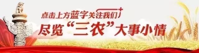 两部委通知：支持农民、村集体参与废弃土地复垦整治，又奖又补！