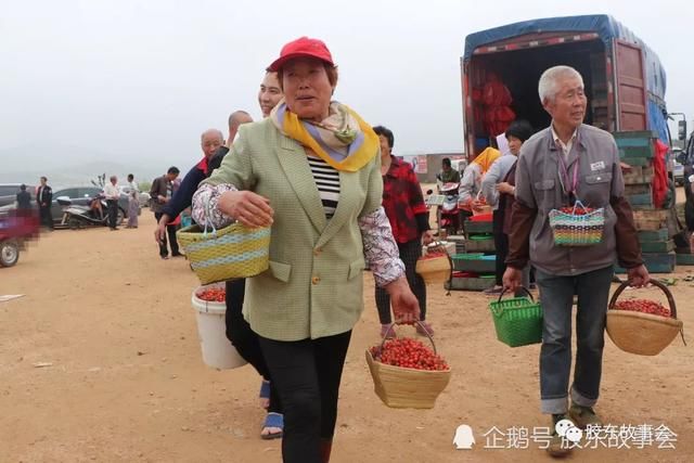 莱阳大野头的小樱桃熟了，看果农卖樱桃的场景