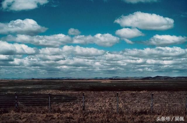 你根本想不到，车里加一台冰箱可以这么方便