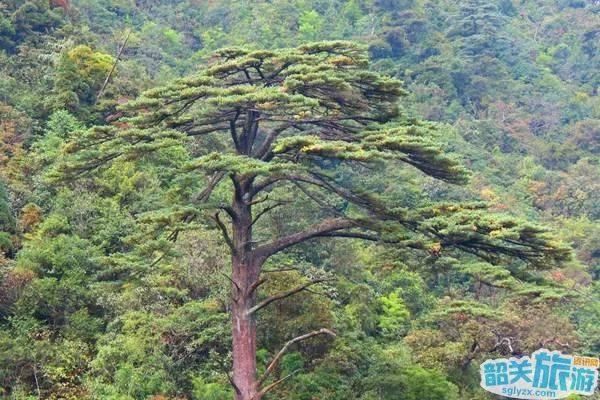 赞!涤荡身心、融入自然的好去处!山高水清树美，就藏在韶关!