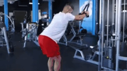 适合新手的健身计划!只需一周4练,打造完美身