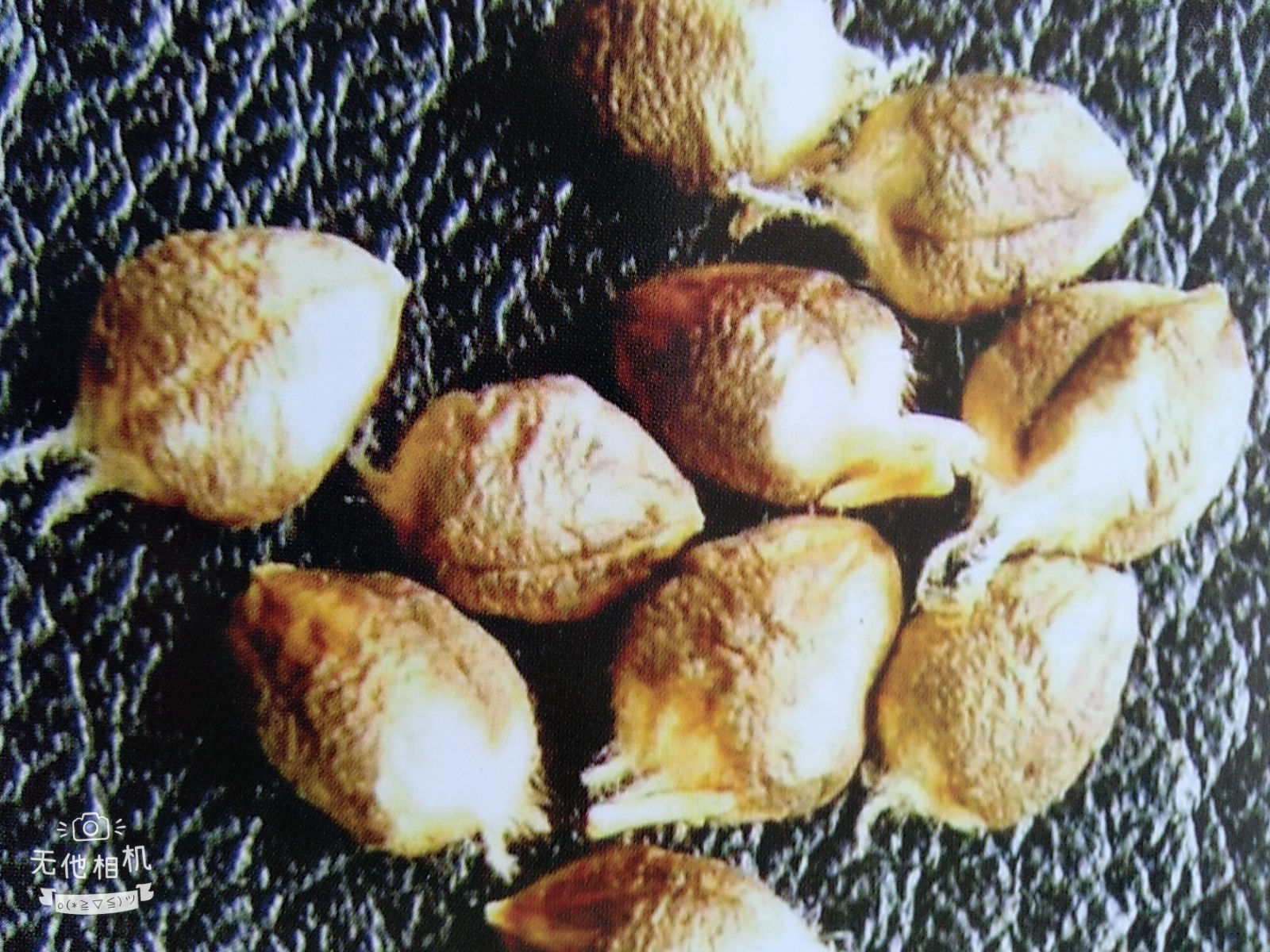 小麦病虫害图解小麦全蚀病、小麦黑穗病、小麦秆黑粉病等
