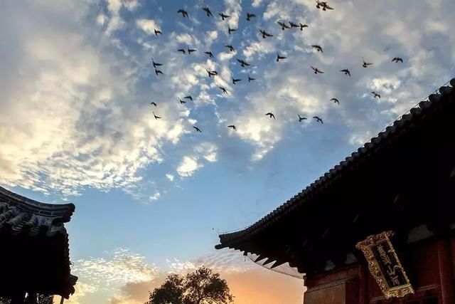 中国最美寺庙，还人间一片净土