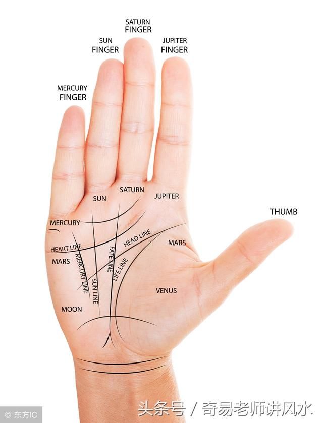 知道一个人一生的财运怎么从手相中看出吗？可惜不是每个人都有。