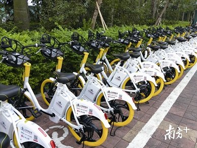 滴滴共享电单车空降深圳?滴滴:属实!交警部门