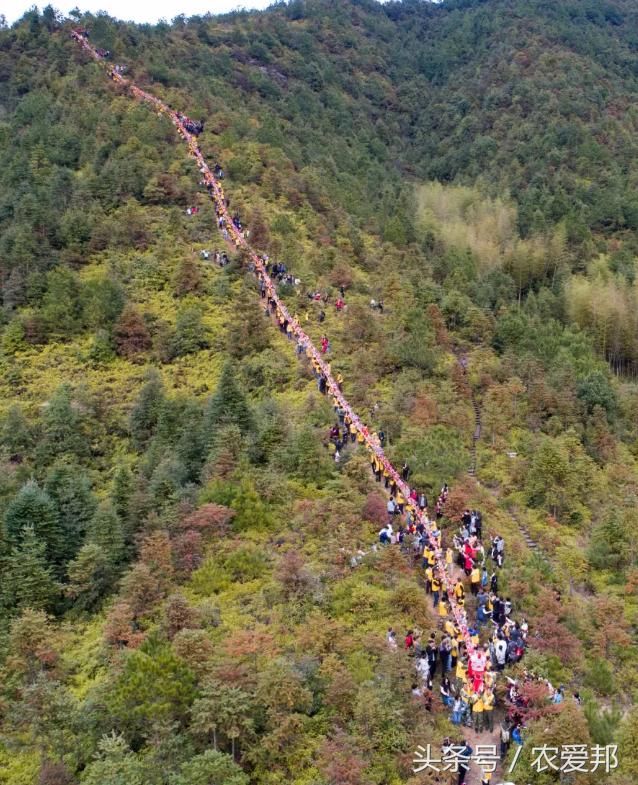 农村这条近“1千岁的龙”能带来财运、带来好运，一起来看看！