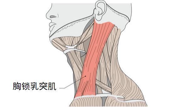 顽固性高血压，推推脖子就能降，怎么操作呢?