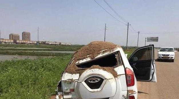 奇瑞瑞虎3遭遇砂土车,车主逃过一劫,网友:换别的车早就完了!