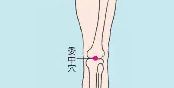 三伏天贴哪里祛湿气 t019a09fb2fc420231e.jpg