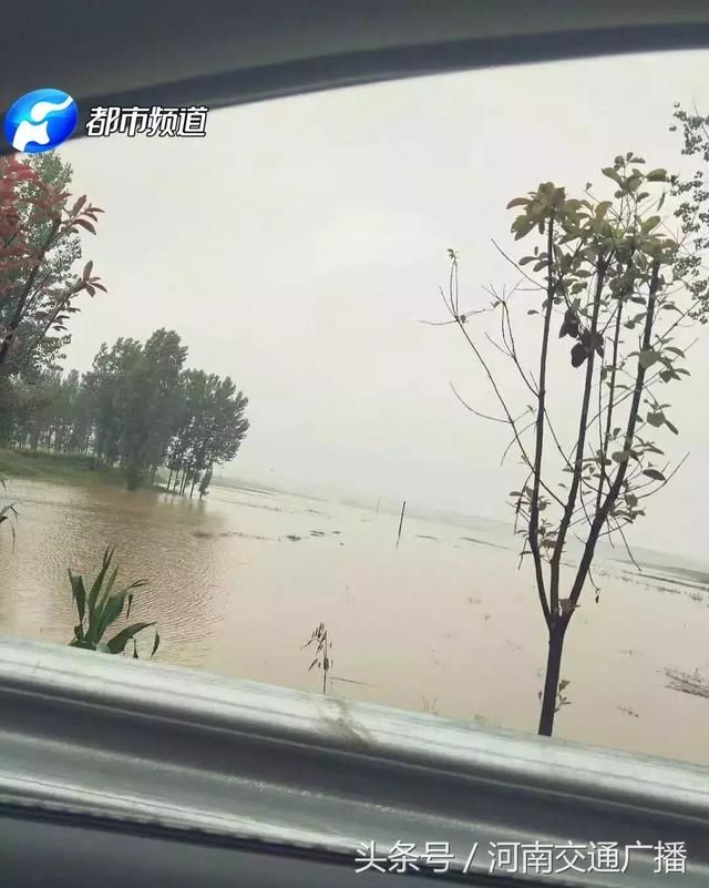 南阳突遭暴雨！淅川、邓州受灾严重，水深齐腰、房屋受损……